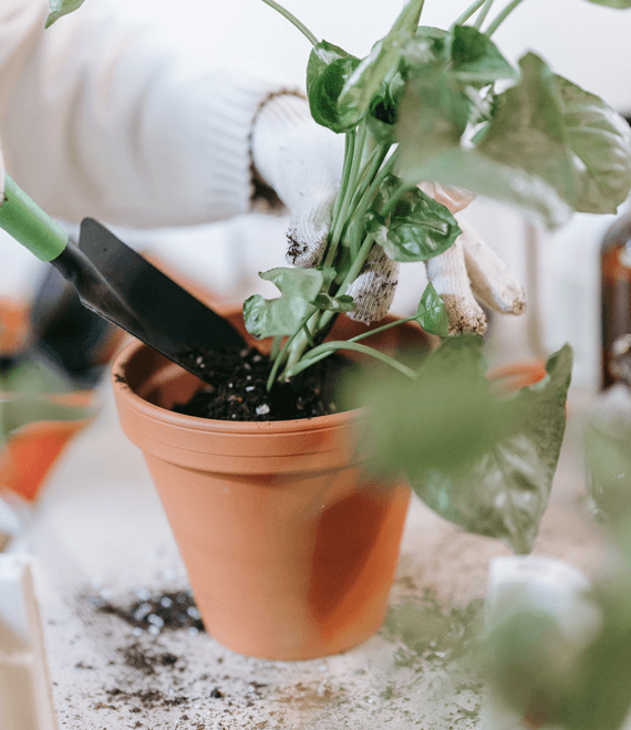 Recycler du carrelage dans un pot de fleur